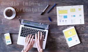 professional web development
